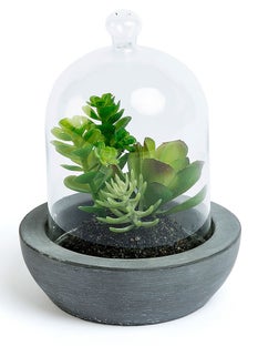 Roślina dekoracyjna sztuczna Sukulent doniczka ceramiczna 13cm – obraz-1