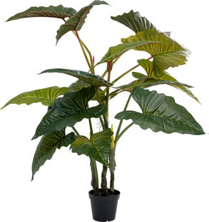 Деко растение Taro 180cm – изображение-1.