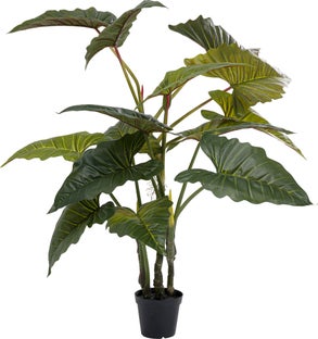 Деко растение Taro 180cm – изображение-1.