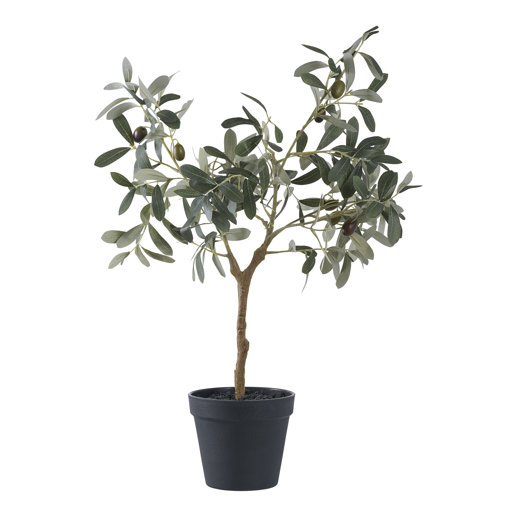 Roślina dekoracyna Olive Tree 61 cm – grafika-1.