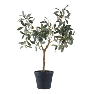 Roślina dekoracyna Olive Tree 61 cm – grafika-1.