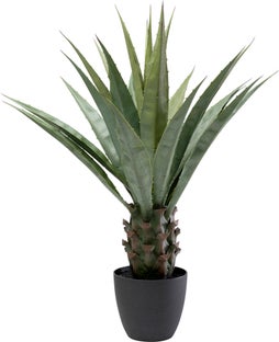 Konstväxt Agave - 85cm – bild-1.