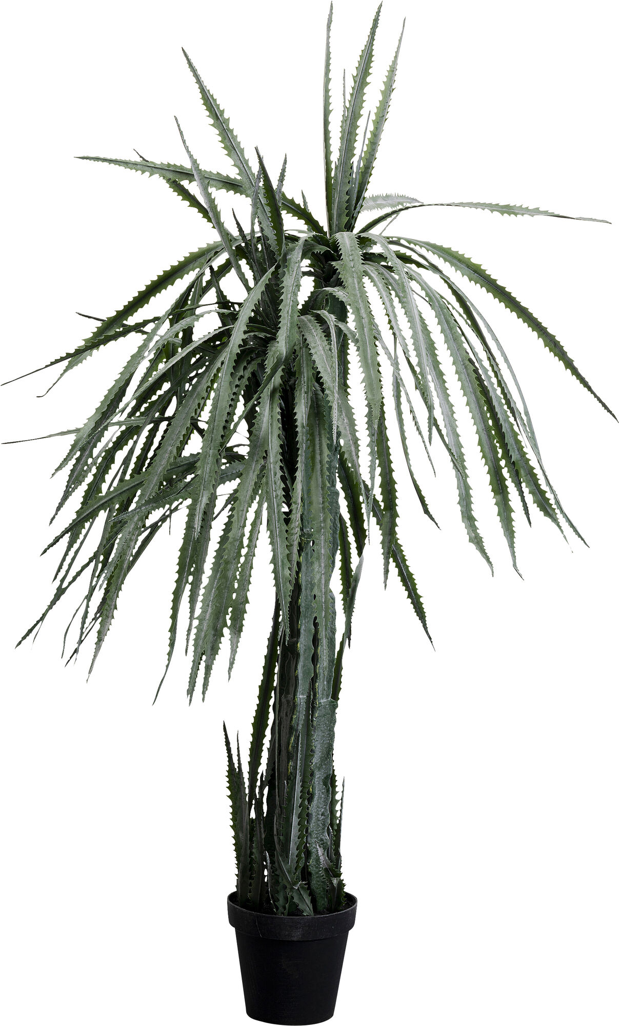 Pianta decorativa dracena Drachenbaum 155cm – immagine-1.