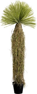 Planta Deco Dracaena 180cm – Imagen-1.