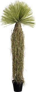 Planta Deco Dracaena 180cm – Imagen-1.
