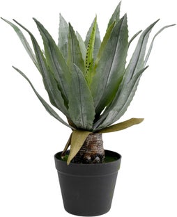 Planta Deco Agave 40cm – Imagen-1.