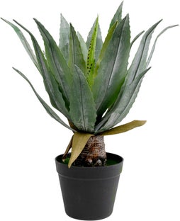 Dirbtinis augalas Agave 40cm – paveikslėlis-1.