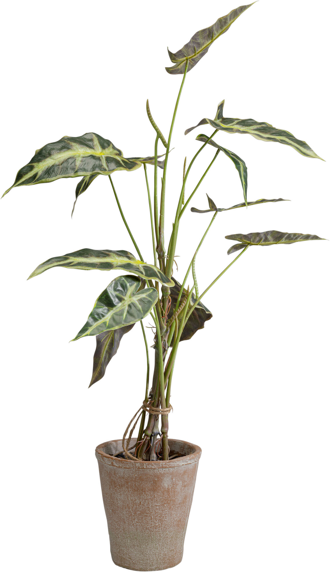 Planta artificiala decorativa Alocasia 80 cm – imagine-1.