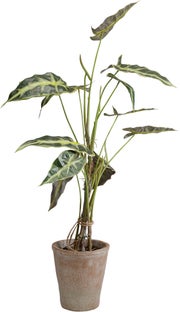 Planta artificiala decorativa Alocasia 80 cm – imagine-1.