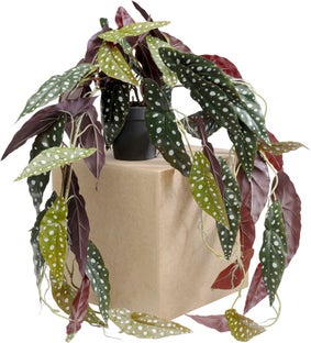 Planta artificiala decorativa Begonia 45 cm – imagine-1.