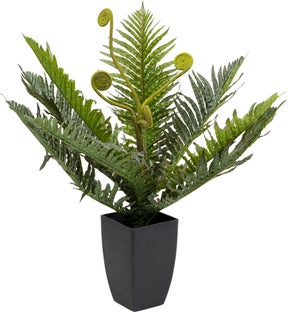 Planta decorativa Farn 55cm – imagine-1.