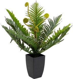 Planta Deco Farn 55cm – Imagen-1.