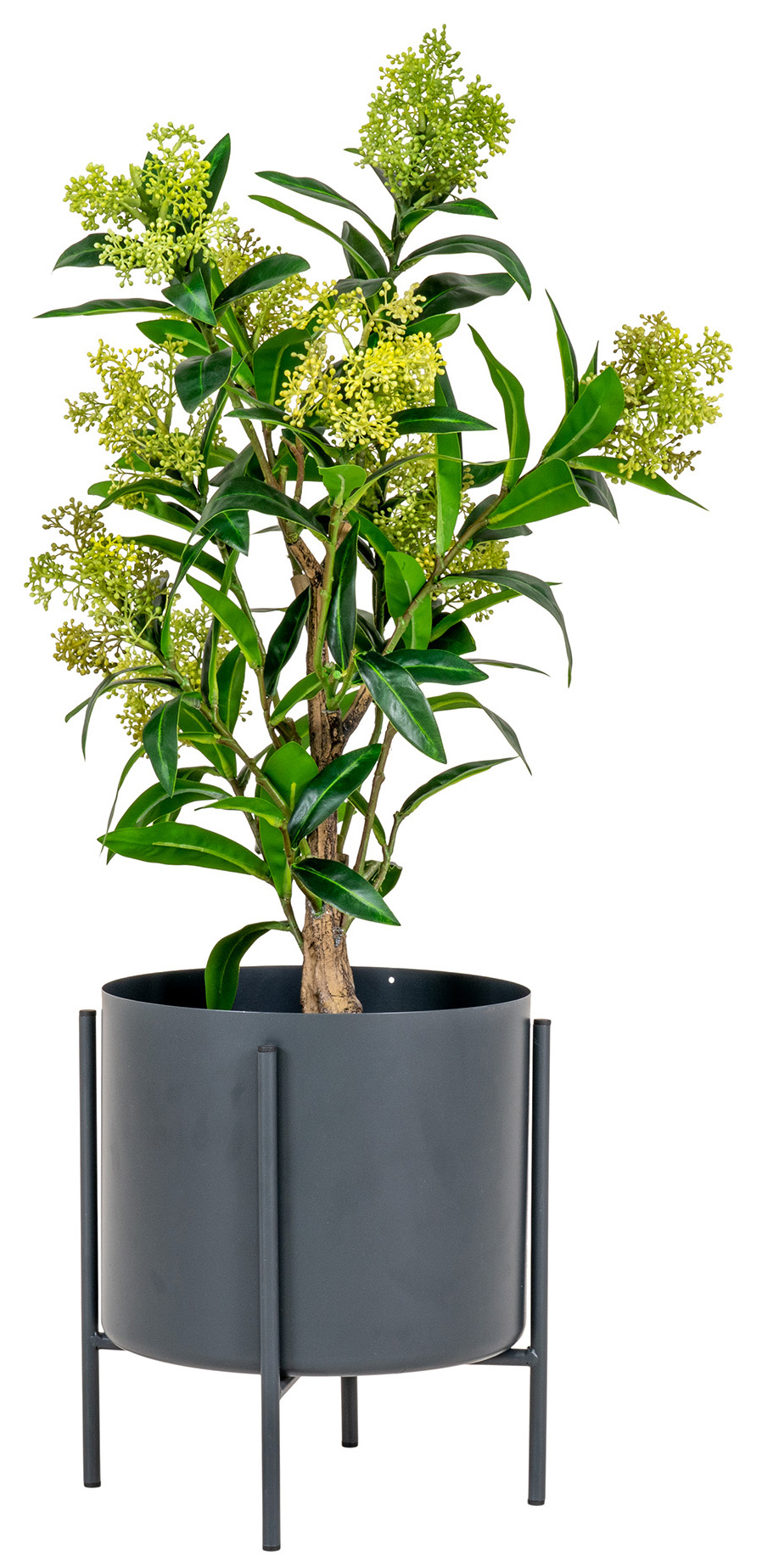 Roślina sztuczna do salonu skimmia 75 cm – grafika-1.