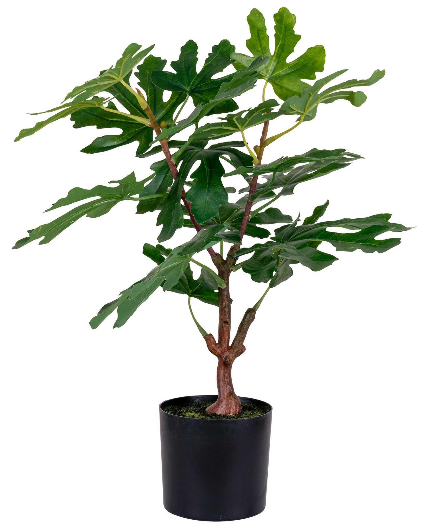 Roślina sztuczna drzewko figowe 50 cm – grafika-1.