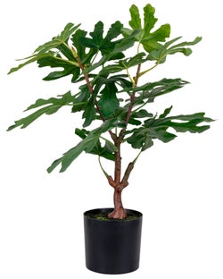 Roślina sztuczna drzewko figowe 50 cm – grafika-1.