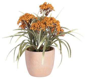 Roślina dekoracyjna Leonitis Leonurus ceramiczna doniczka 29cm – obraz-1