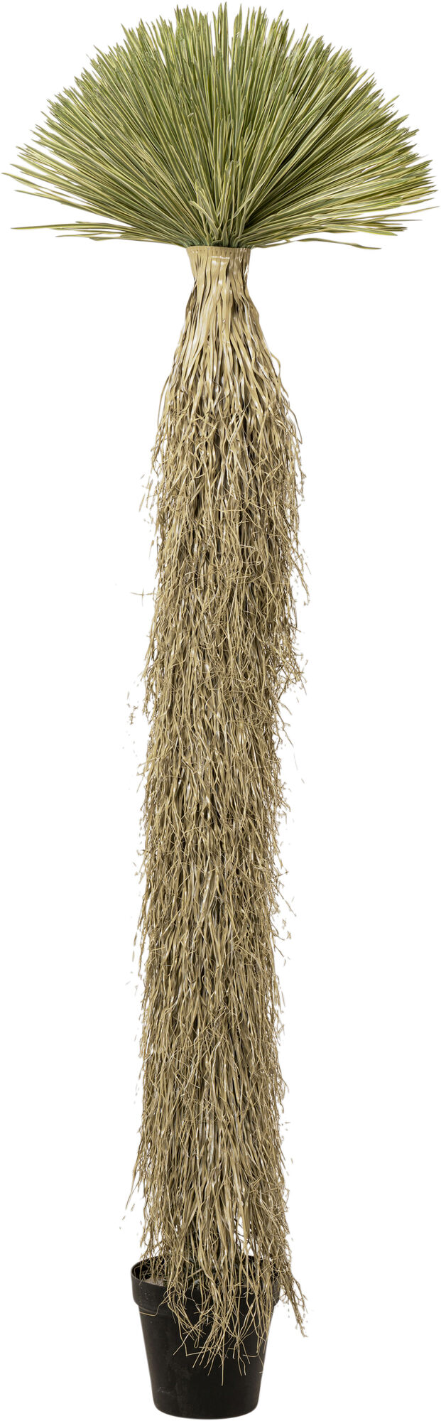 Roślina sztuczna wysoka Yucca Rostrata 240 cm – obraz-1