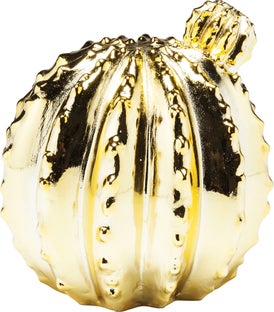 Касичка Cactus Desert Gold 15cm – изображение-1.