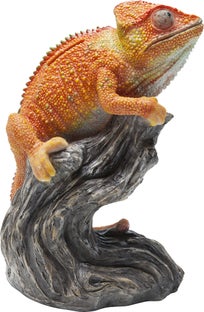 Skarbonka Chameleon 13x17 cm pomarańczowa – obraz-1