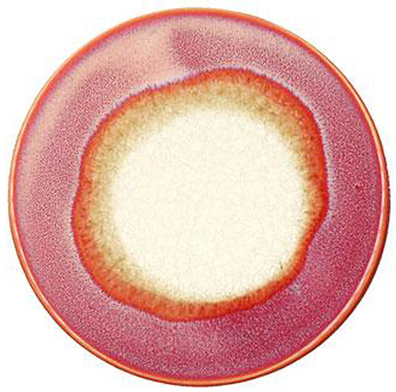 Spodek Villa Collection Ø11 cm różowy – obraz-1