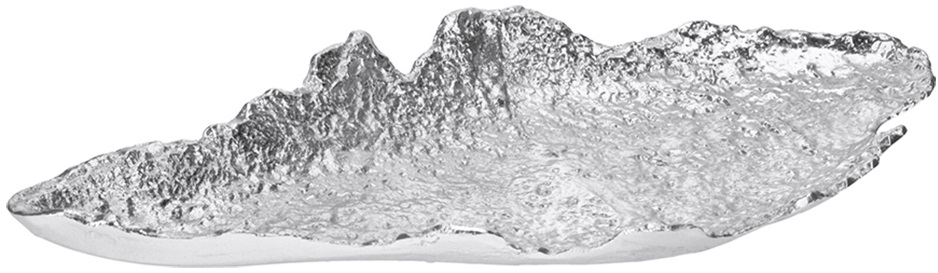 Сребристо плато – изображение-1