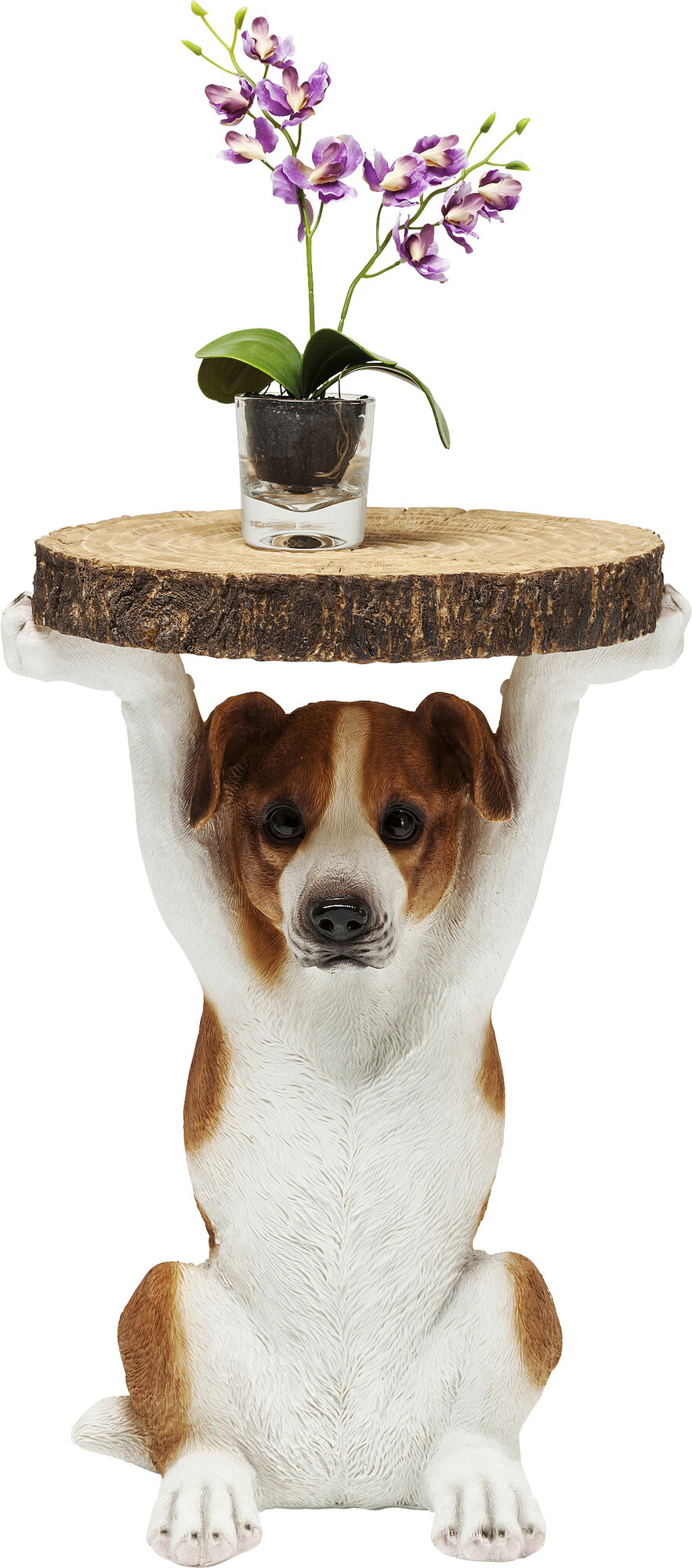 Mesa auxiliar Animal Mr Jack Ø33cm – Imagen-1.