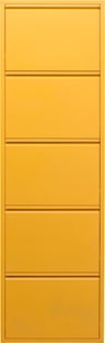 Batų spinta Caruso 5 Yellow (MO) – paveikslėlis-1.