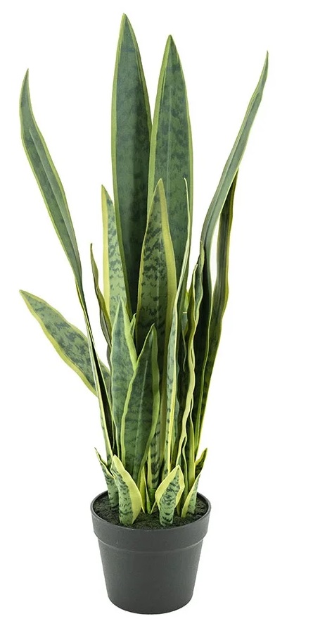 Sztuczna średnia Sansewieria w czarnej doniczce Ø26x78 cm – obraz-1