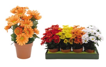 Цвете в саксия – изображение-1