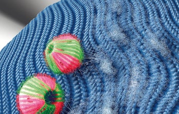 Улавящи топчета за пране – изображение-1