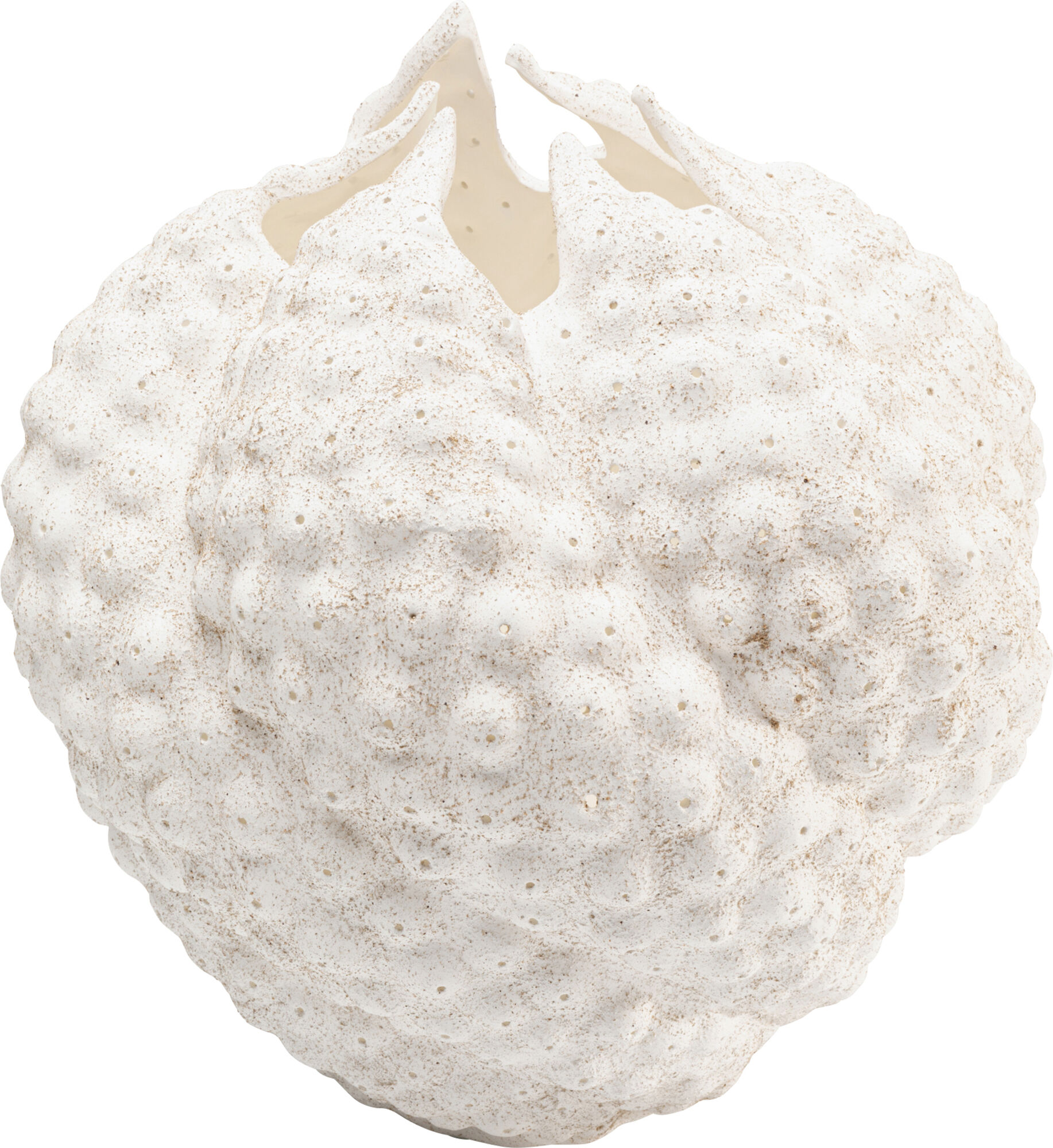 Wazon Anemone biały 26cm – obraz-1