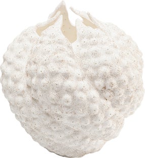 Wazon Anemone biały 26cm – obraz-1