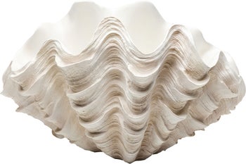 Wazon dekoracyjny duży w kształcie muszli 49x29 cm – obraz-1