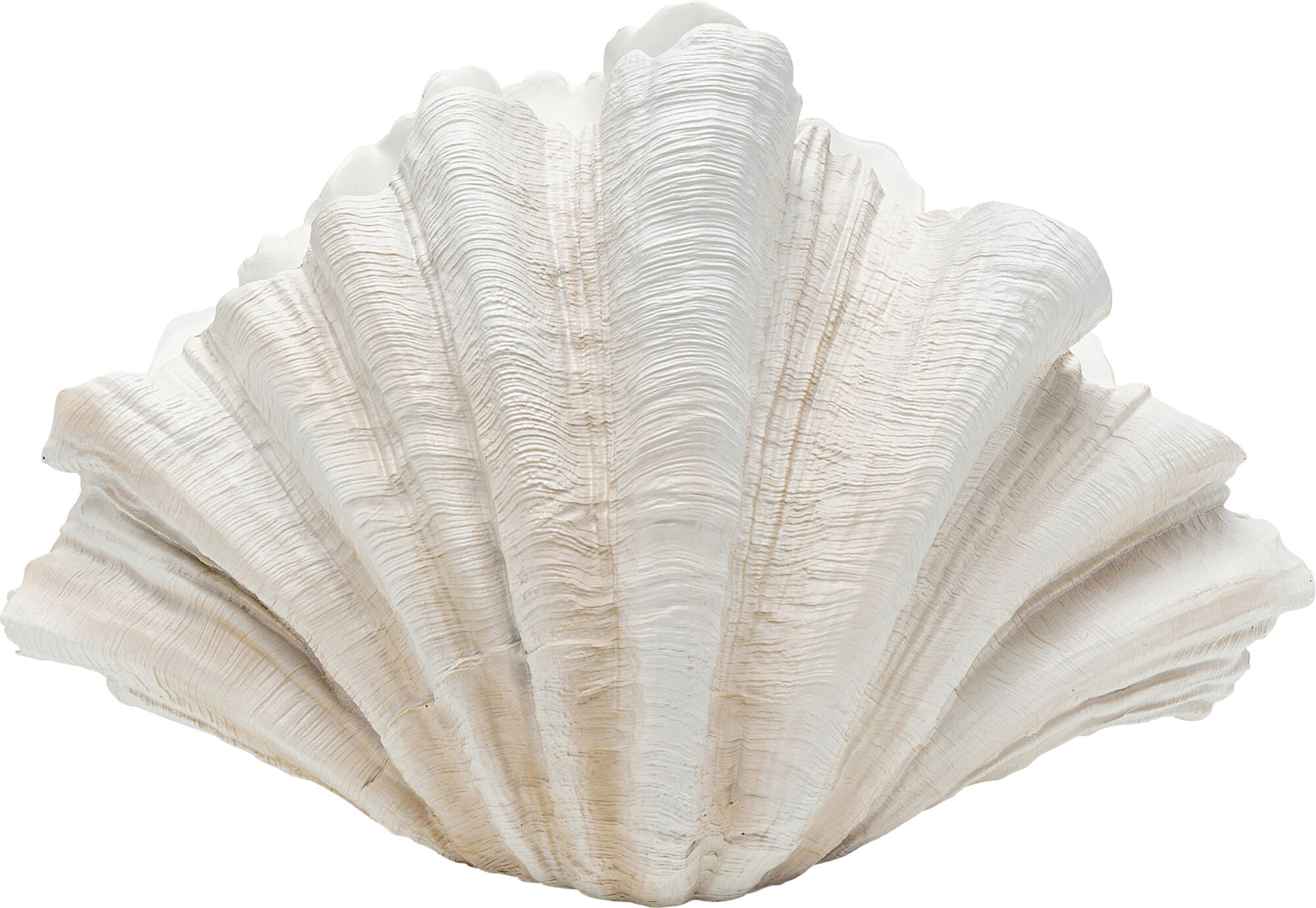 Vaza decorativa Concha 57 cm – imagine-1.