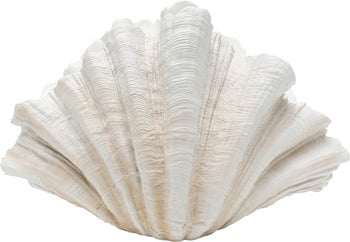 Wazon dekoracyjny duży w kształcie muszli  57x36 cm – obraz-1