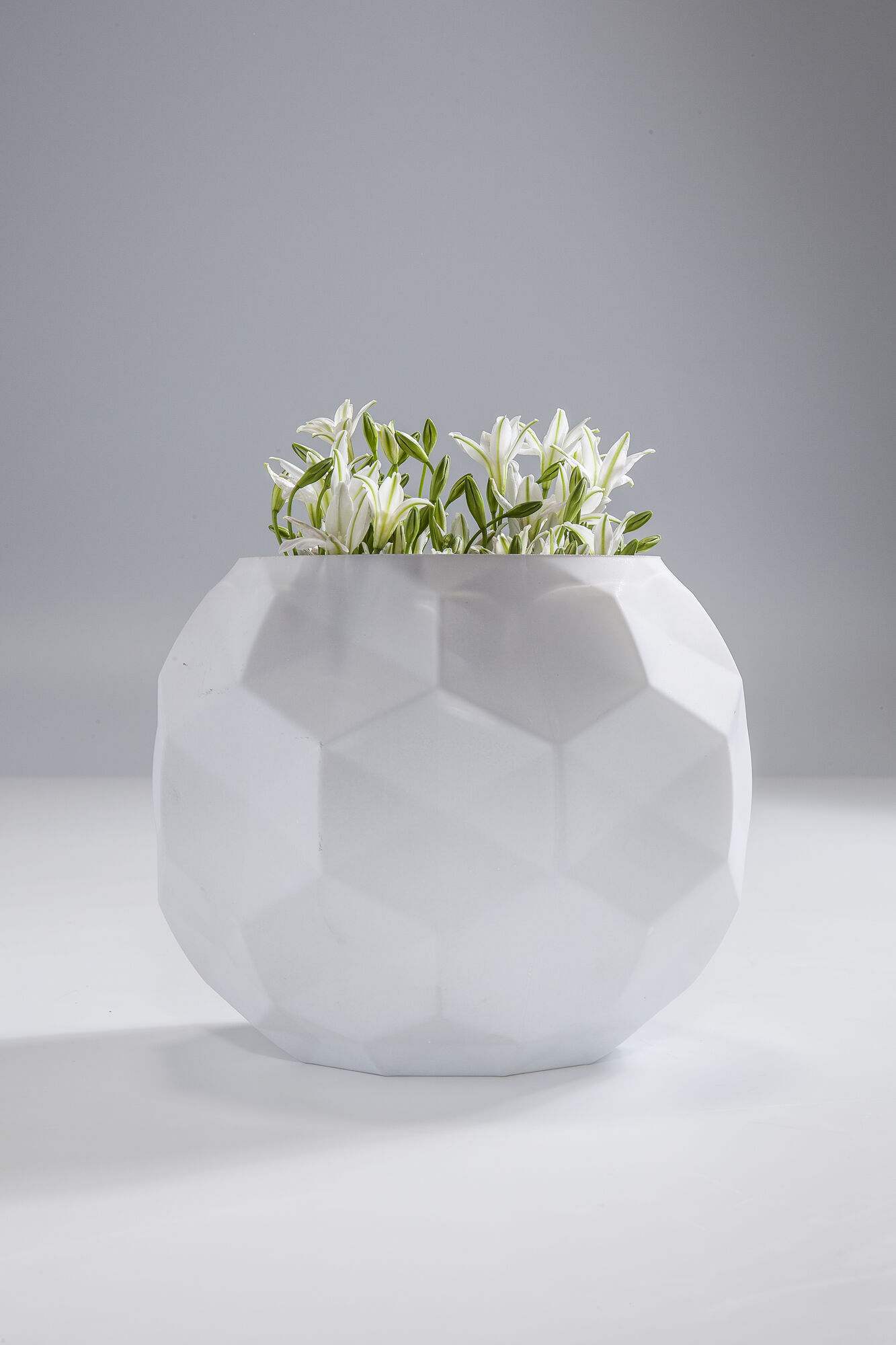 Maljakko Crispy – kuva-1.