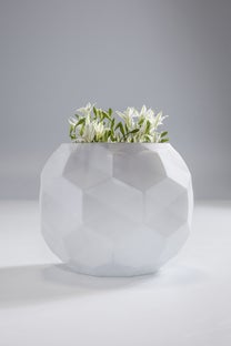 Maljakko Crispy – kuva-1.