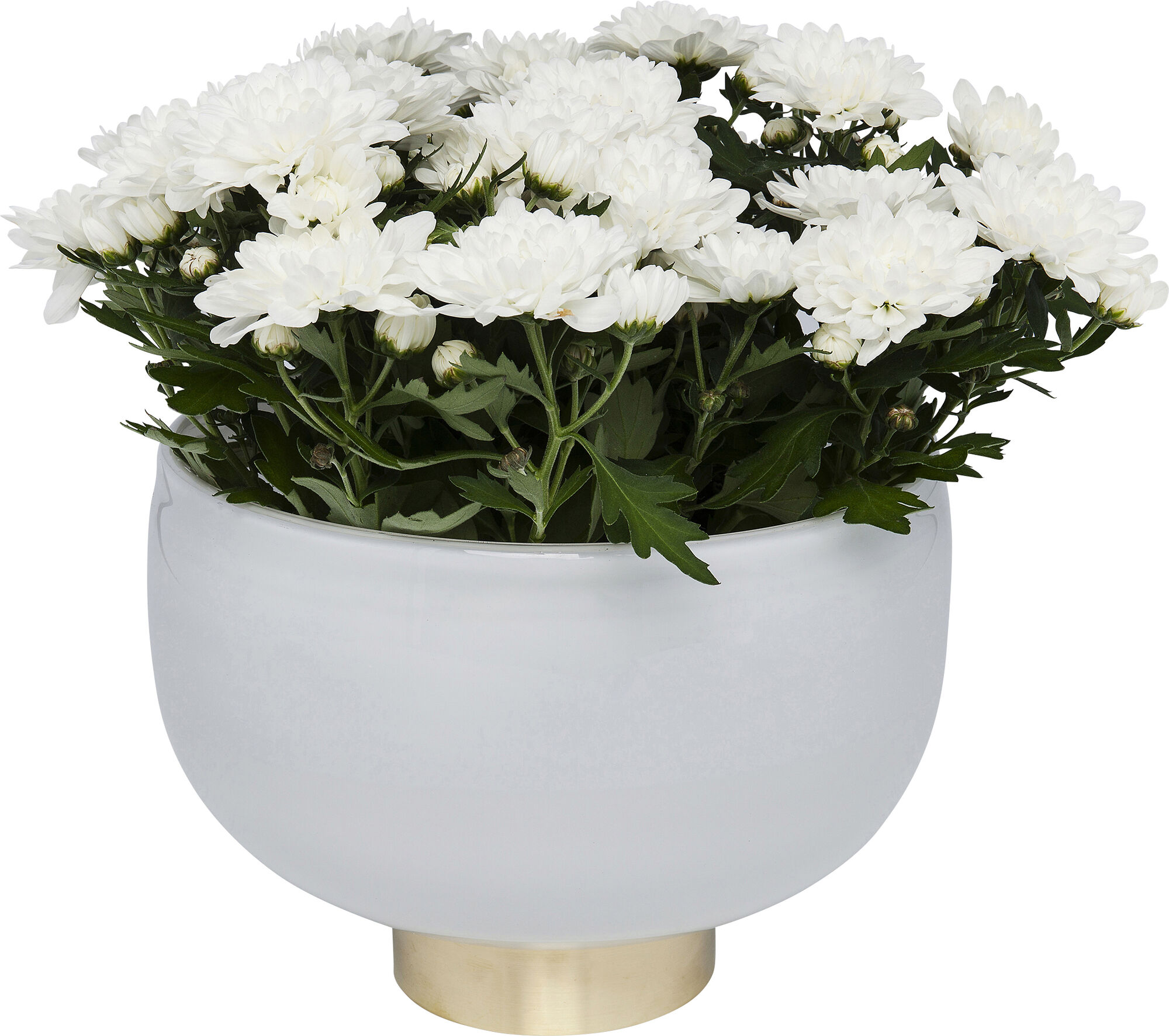 Wazon Pure Bowl Ø25x17 cm biały – obraz-1