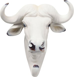 Wieszak ścienny Buffalo 18x20 cm biały – obraz-1