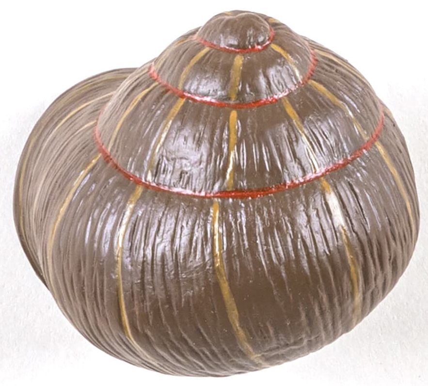 Wieszak Snail Sleeping 7x8 cm kolorowy – obraz-1