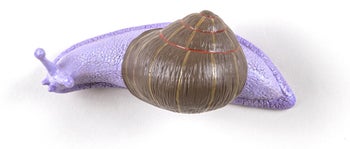 Wieszak Snail Slow 18 cm kolorowy – obraz-1